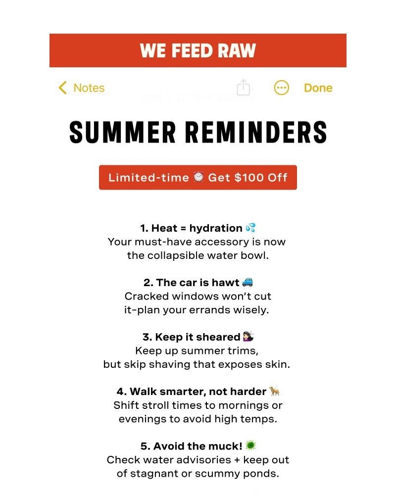 Screenshot of email sent to a We Feed Raw Newsletter subscriber