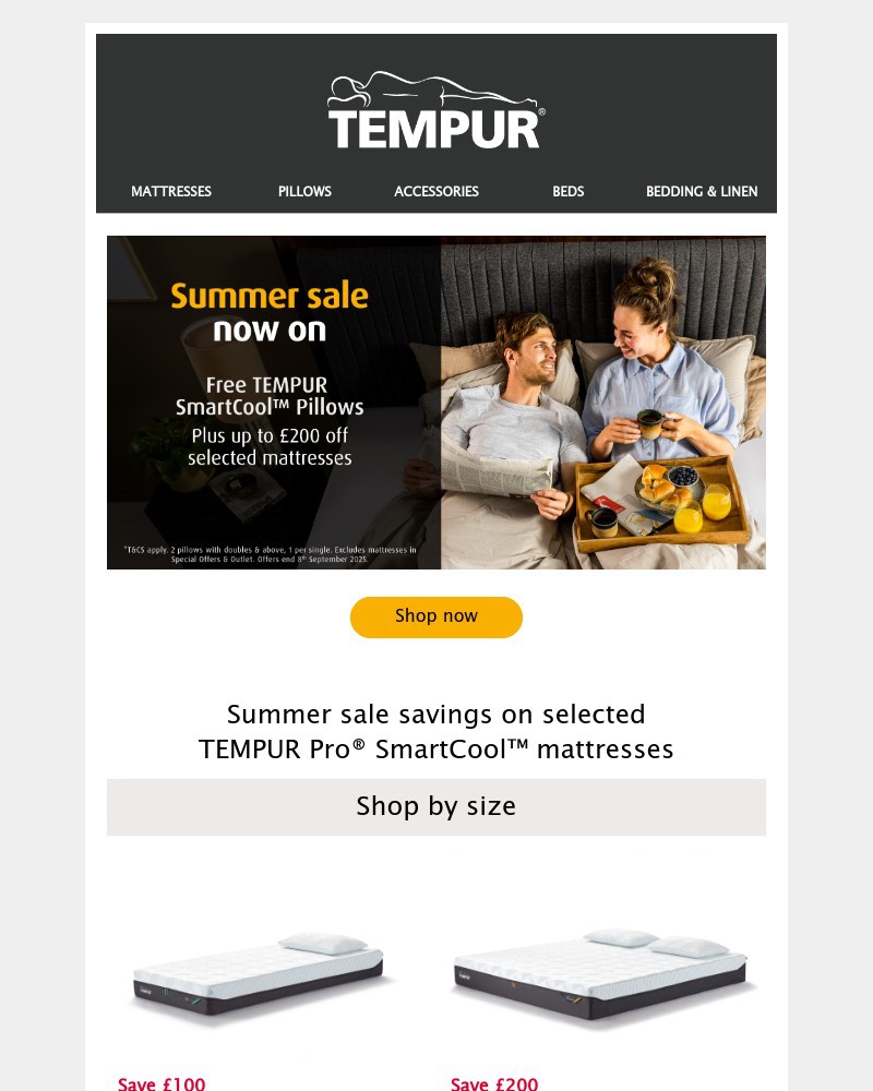 Screenshot of email with subject /media/emails/summer-sale-now-on-5ceb27-cropped-d426cffc.jpg