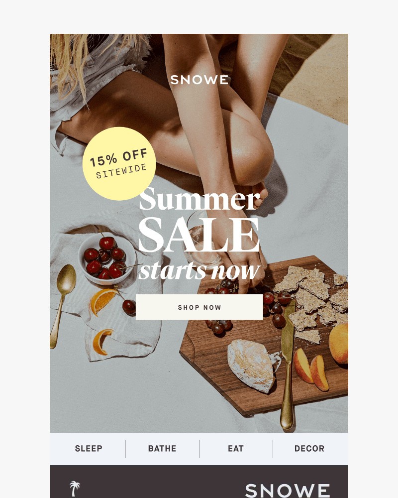 Screenshot of email sent to a Snowe Newsletter subscriber