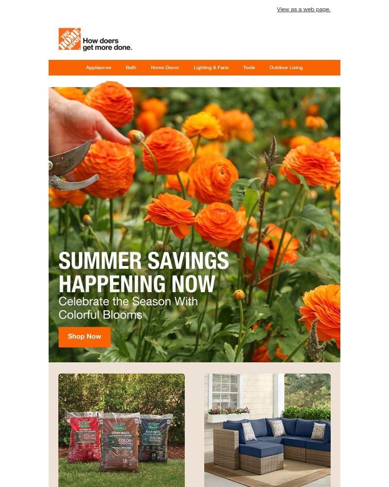 Screenshot of email with subject /media/emails/summer-savings-0cd707-cropped-a845da48.jpg