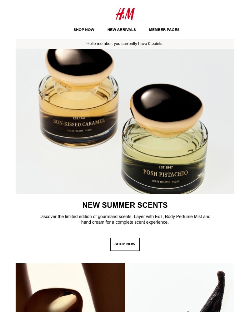 Screenshot of email with subject /media/emails/summer-scents-f5771c-cropped-932a5f84.jpg