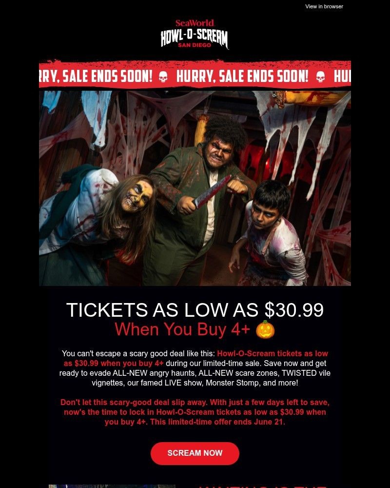 Screenshot of email with subject /media/emails/summer-scream-sale-howl-o-scream-tickets-as-low-as-3099-4ecda3-cropped-1049e922.jpg