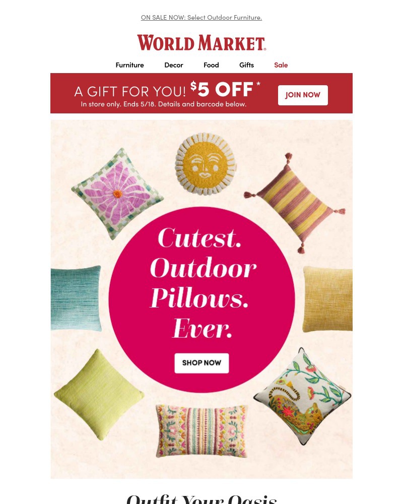 Screenshot of email with subject /media/emails/summer-stunners-outdoor-pillows-rugs-and-more-68c6c6-cropped-d1456814.jpg