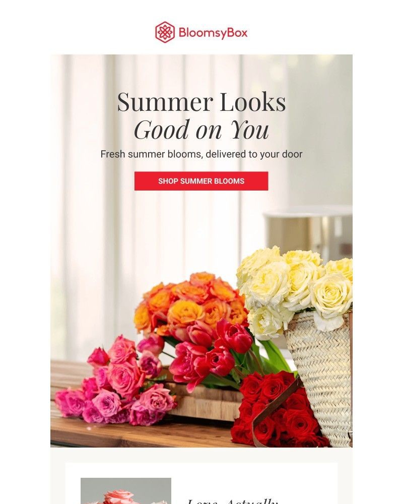 Screenshot of email with subject /media/emails/summers-best-rooms-have-one-thing-in-common-254d1b-cropped-148718e9.jpg