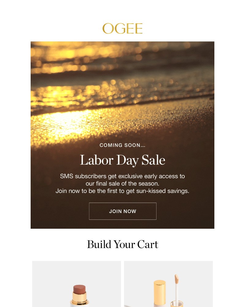 Screenshot of email with subject /media/emails/summers-last-sale-is-coming-d50cc4-cropped-8c704ff7.jpg