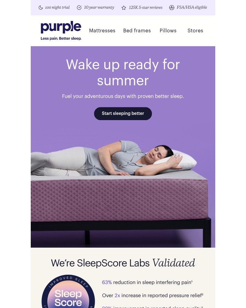 Screenshot of email sent to a Purple Cart abandoner
