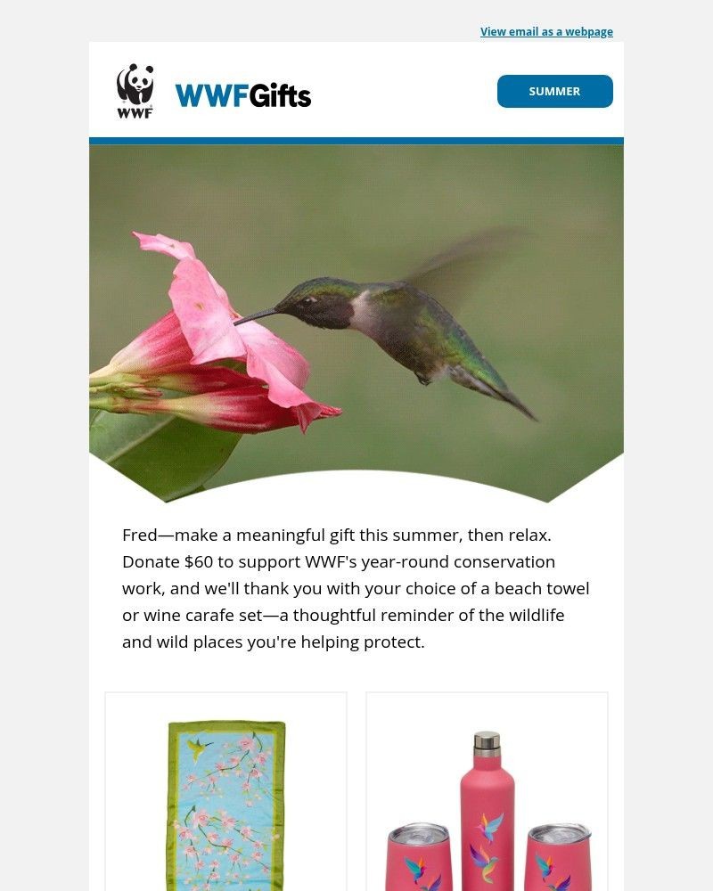Screenshot of email with subject /media/emails/summery-ways-to-protect-wildlife-and-relax-617b24-cropped-dce94a01.jpg