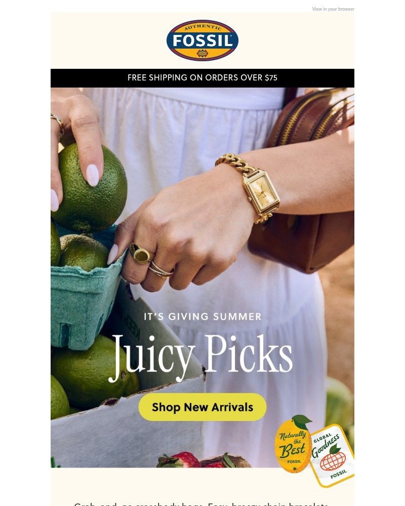 Screenshot of email sent to a Fossil Newsletter subscriber