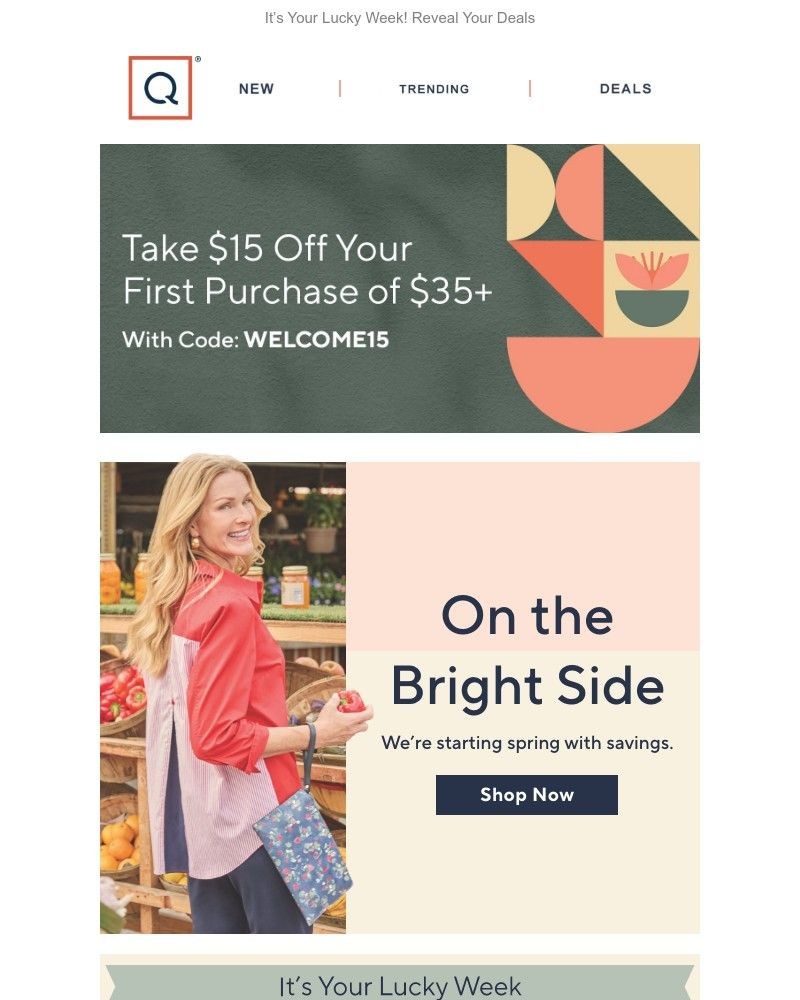 Screenshot of email sent to a QVC Newsletter subscriber