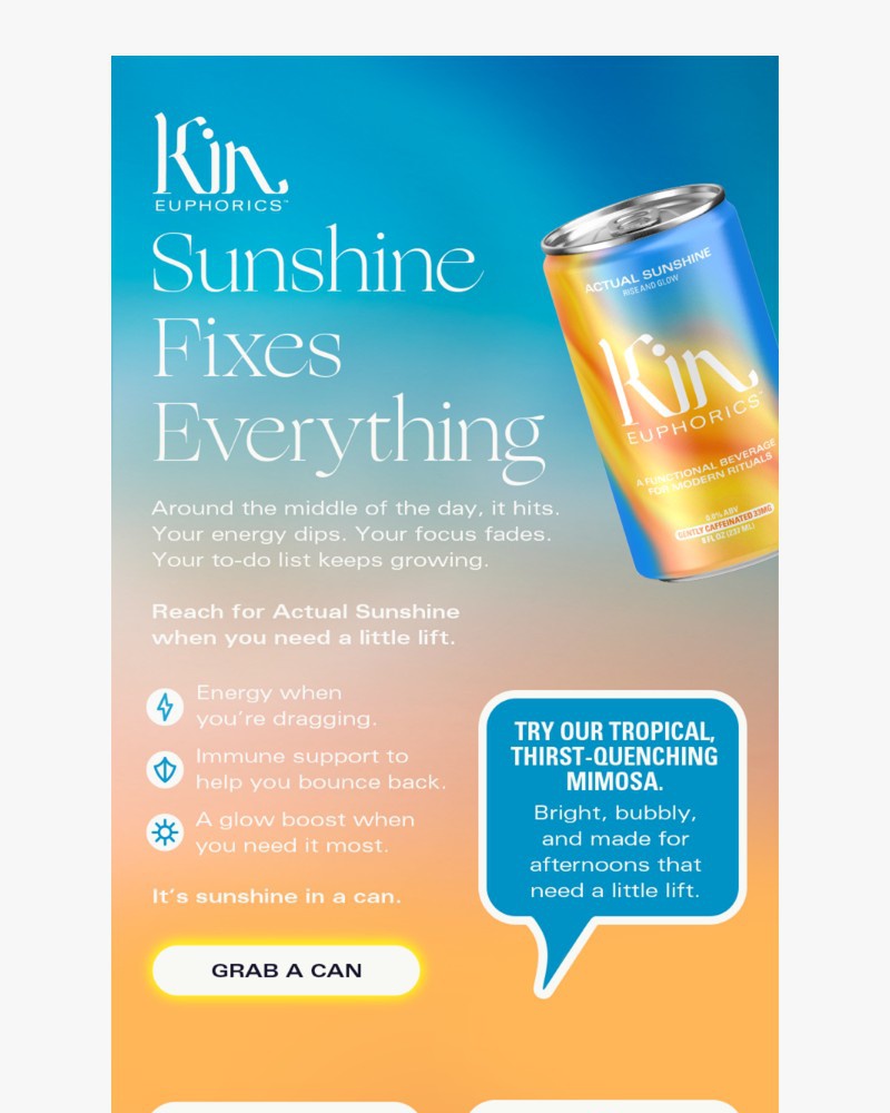 Screenshot of email sent to a Kin Euphorics Newsletter subscriber