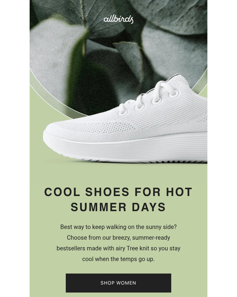 Screenshot of email sent to a Allbirds Newsletter subscriber