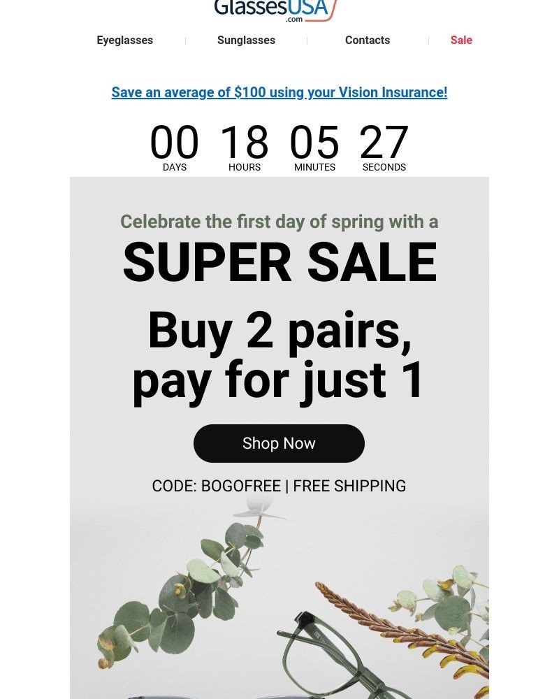 Screenshot of email with subject /media/emails/super-bogo-sale-for-the-first-day-of-spring-e37fdb-cropped-dd34ff53.jpg