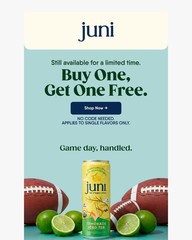 Screenshot of email sent to a Juni Newsletter subscriber