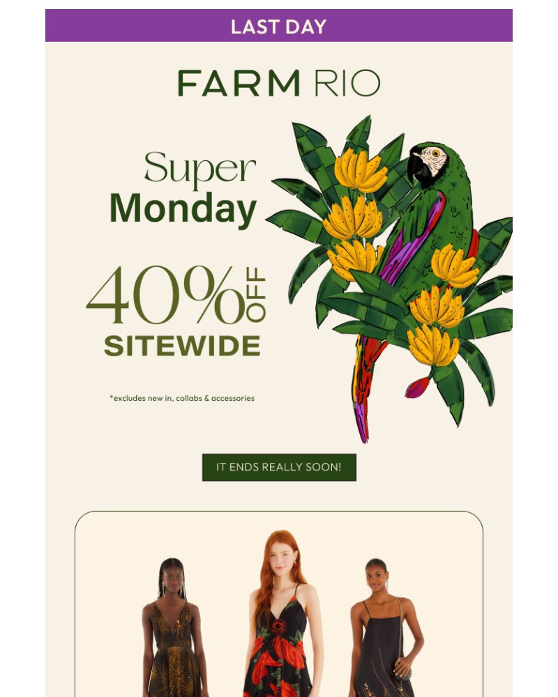 Screenshot of email with subject /media/emails/super-monday-is-on-08a9d6-cropped-57efe80f.jpg