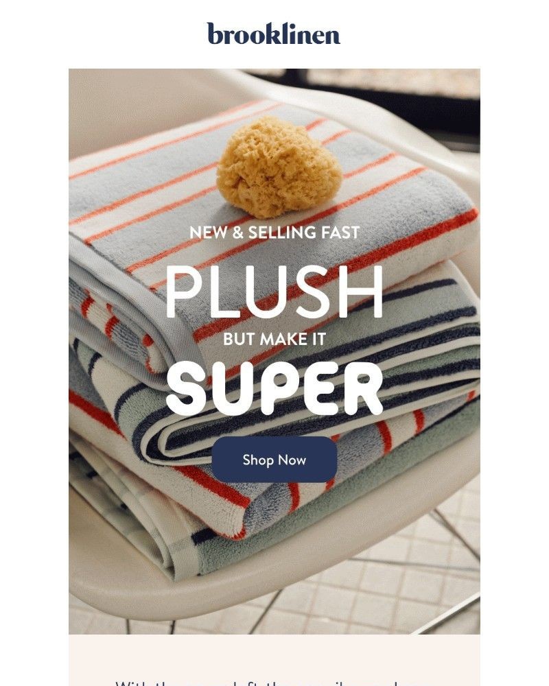 Screenshot of email with subject /media/emails/super-soft-super-absorbent-super-fun-f95057-cropped-e32f7c4e.jpg