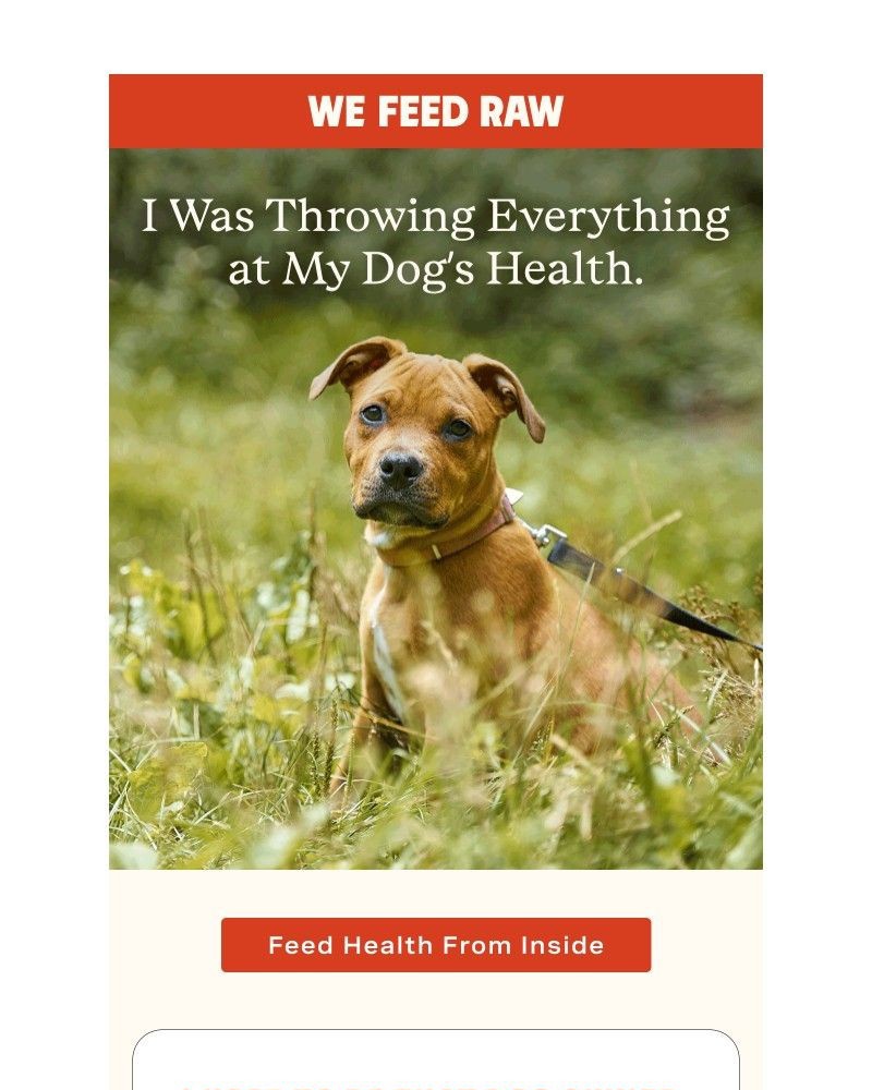 Screenshot of email with subject /media/emails/supplements-cant-fix-bad-food-1952b7-cropped-2ce55834.jpg