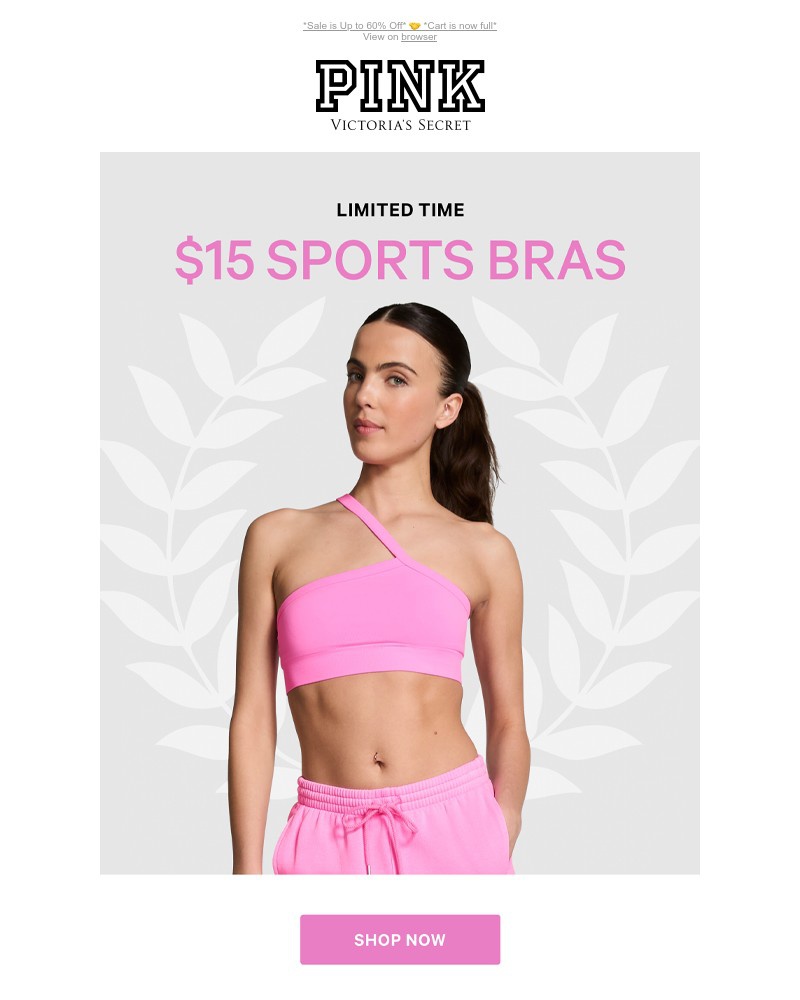 Screenshot of email with subject /media/emails/support-activated-15-sports-bras-3b899c-cropped-d53ad92e.jpg