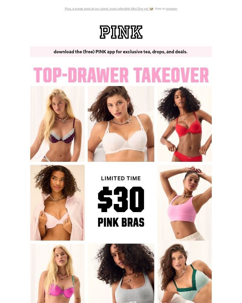 Screenshot of email with subject /media/emails/support-re-up-30-pink-bras-05cebe-cropped-c25d6851.jpg
