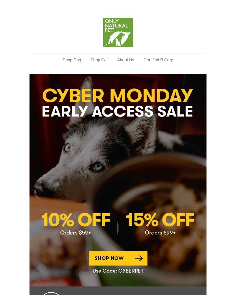 Screenshot of email with subject /media/emails/support-small-save-big-up-to-15-off-pet-favorites-60f6a9-cropped-a7d06f99.jpg