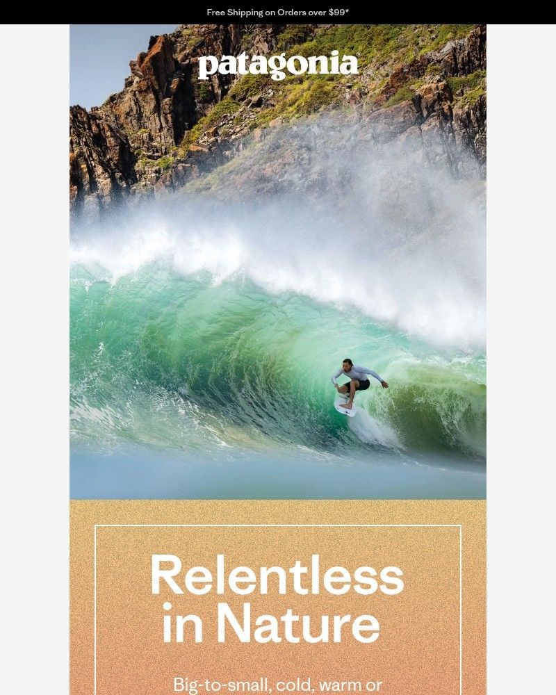 Screenshot of email with subject /media/emails/surf-gear-for-any-forecast-88efc4-cropped-3c8f281c.jpg
