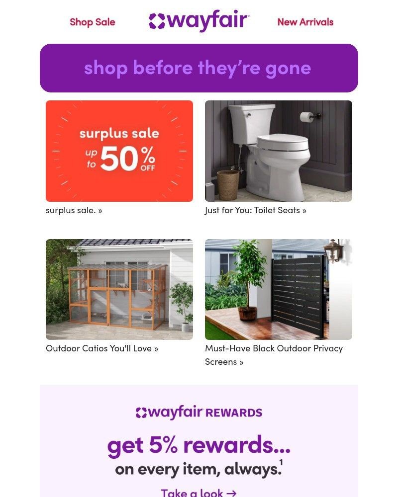 Screenshot of email with subject /media/emails/surplus-sale-up-to-50-off-a02ef6-cropped-b631c965.jpg