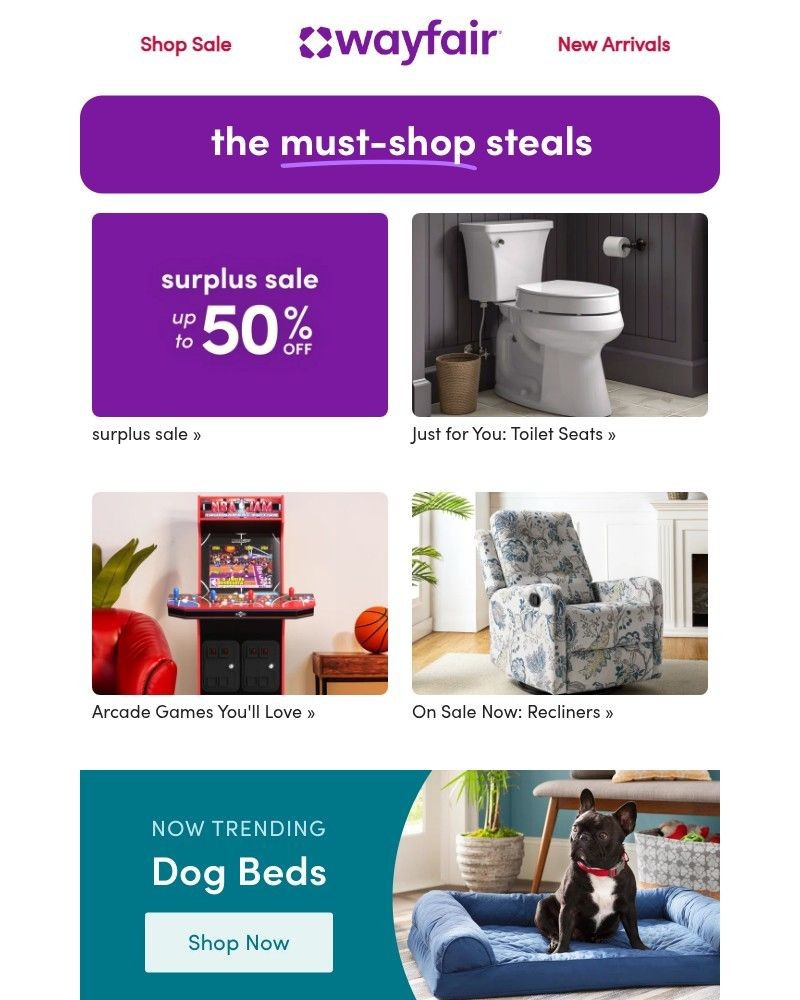 Screenshot of email sent to a Wayfair Newsletter subscriber