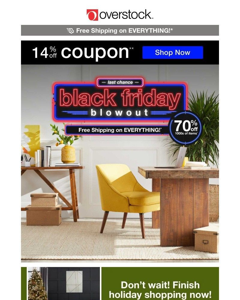 Screenshot of email with subject /media/emails/surprise-14-off-coupon-explore-the-sales-at-the-black-friday-last-chance-sale-7a2_vLaem1u.jpg
