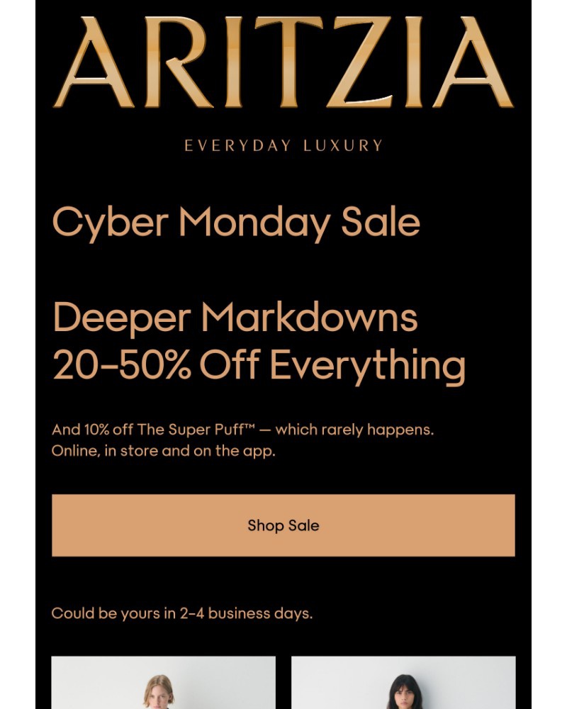 Screenshot of email with subject /media/emails/surprise-cyber-monday-sale-starts-now-3a83fb-cropped-890fe6dd.jpg