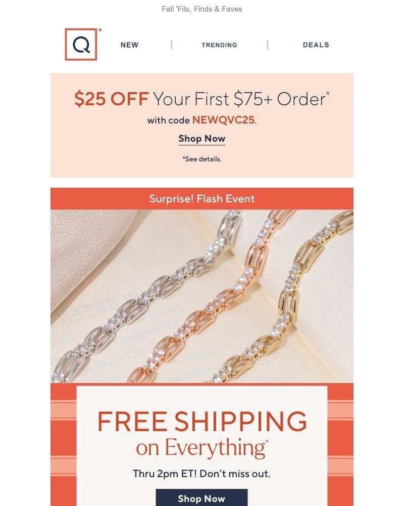 Screenshot of email with subject /media/emails/surprise-flash-free-shipping-fb09bd-cropped-25079a3f.jpg
