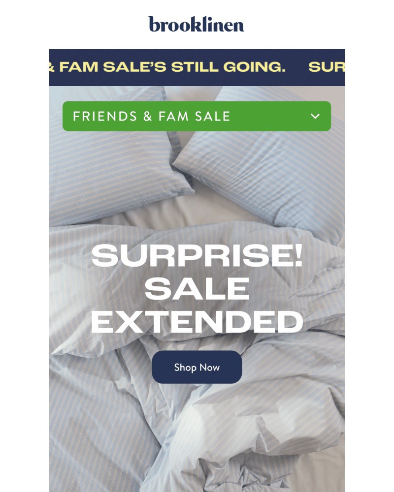 Screenshot of email with subject /media/emails/surprise-friends-fam-sale-isnt-over-yet-2d797a-cropped-0677ed2d.jpg