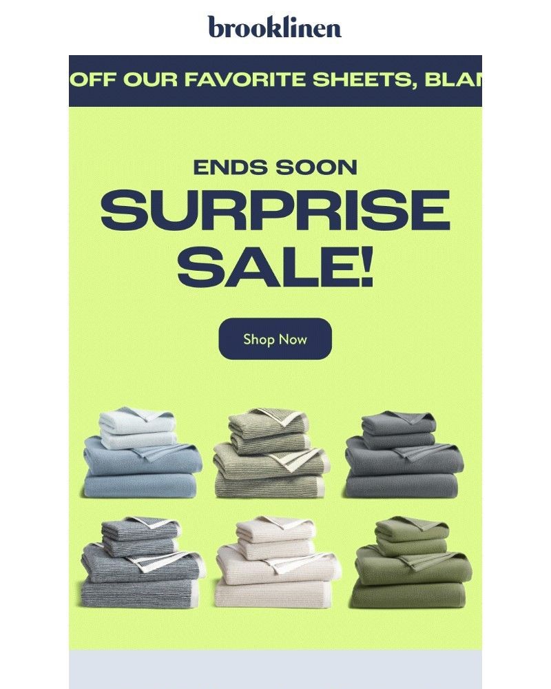 Screenshot of email with subject /media/emails/surprise-sale-ends-soon-a31bbc-cropped-077bf0cd.jpg
