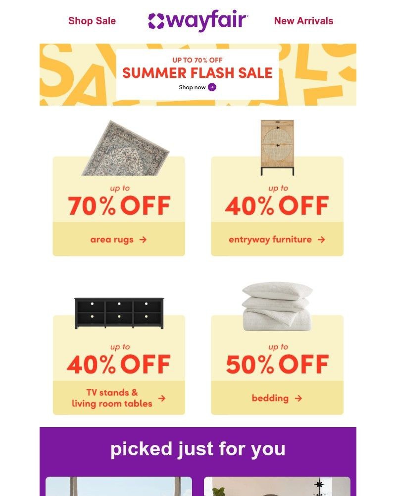 Screenshot of email sent to a Wayfair Newsletter subscriber