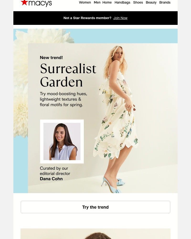 Screenshot of email with subject /media/emails/surrealist-garden-our-go-to-spring-trend-353823-cropped-98f52289.jpg