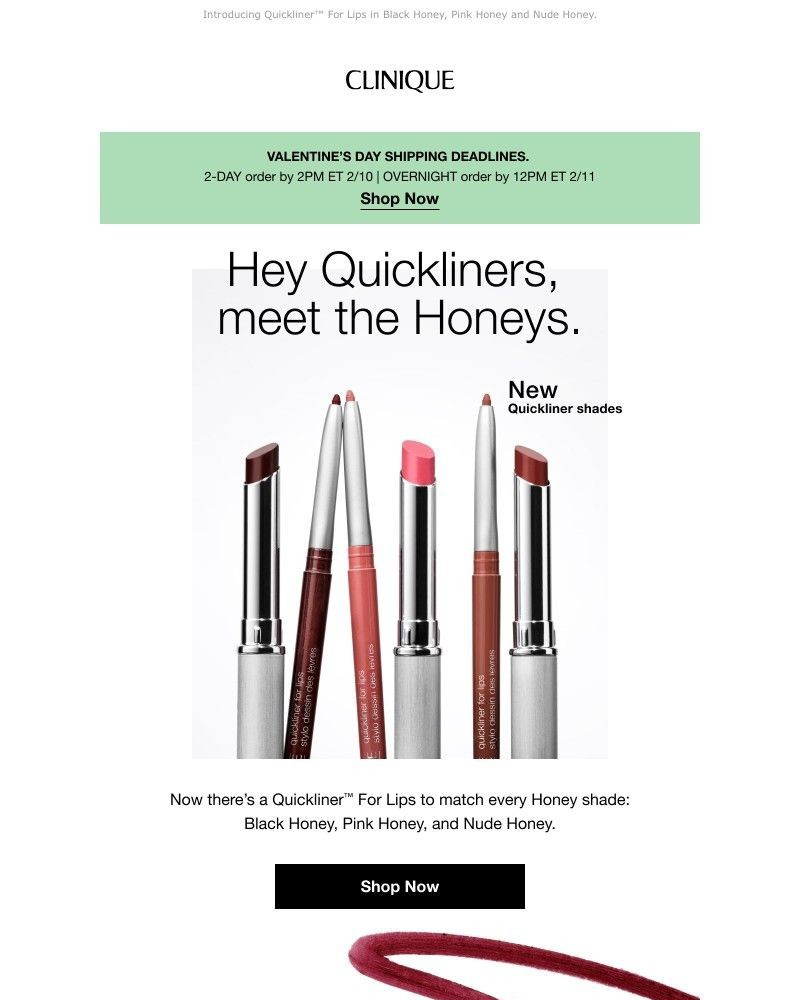 Screenshot of email with subject /media/emails/sweet-news-honey-lip-liners-are-here-cf8b89-cropped-d2b819d8.jpg