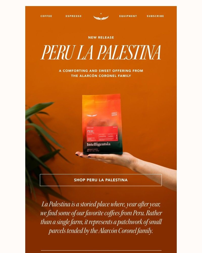 Screenshot of email with subject /media/emails/sweet-notes-of-orange-zest-butterscotch-clove-f61555-cropped-d163b829.jpg