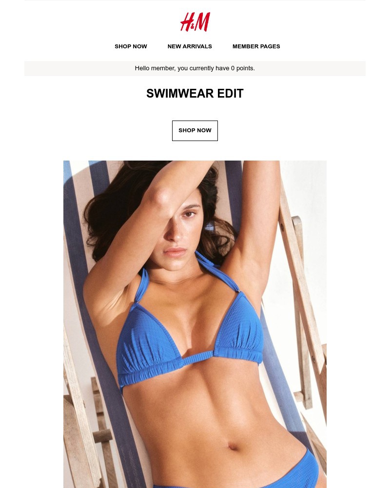 Screenshot of email with subject /media/emails/swimwear-edit-848fd3-cropped-28ee8418.jpg
