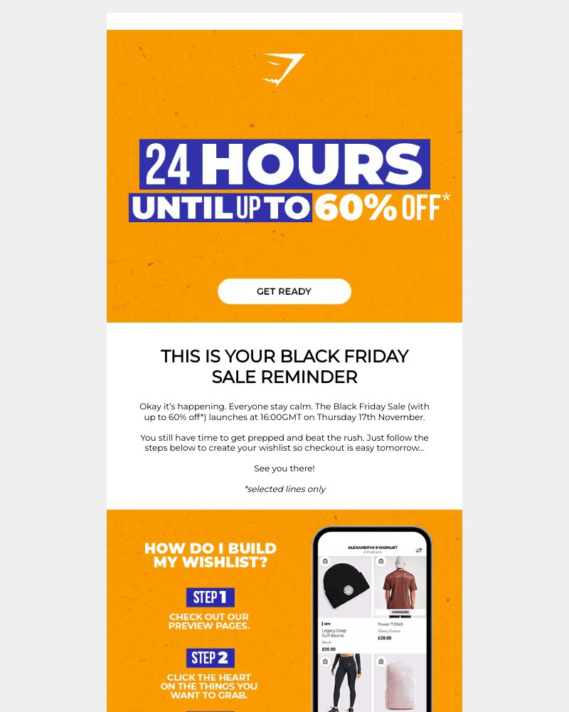 Screenshot of email with subject /media/emails/t-minus-24-hours-to-black-friday-sale-a01569-cropped-46414766.jpg