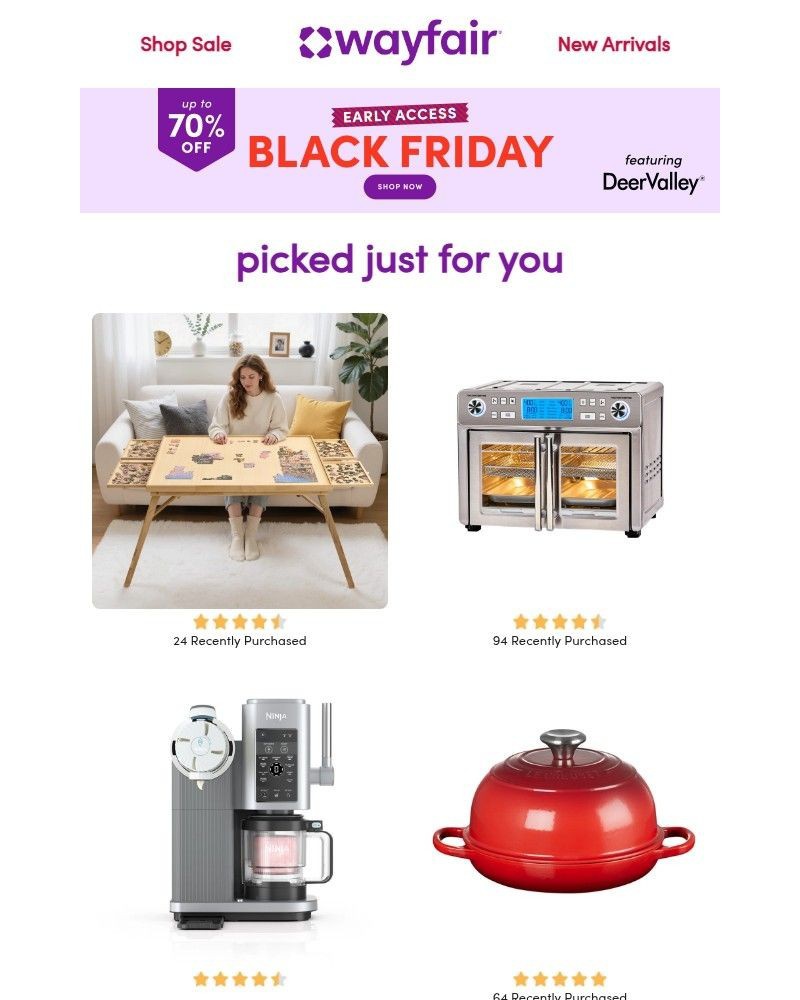 Screenshot of email sent to a Wayfair Newsletter subscriber