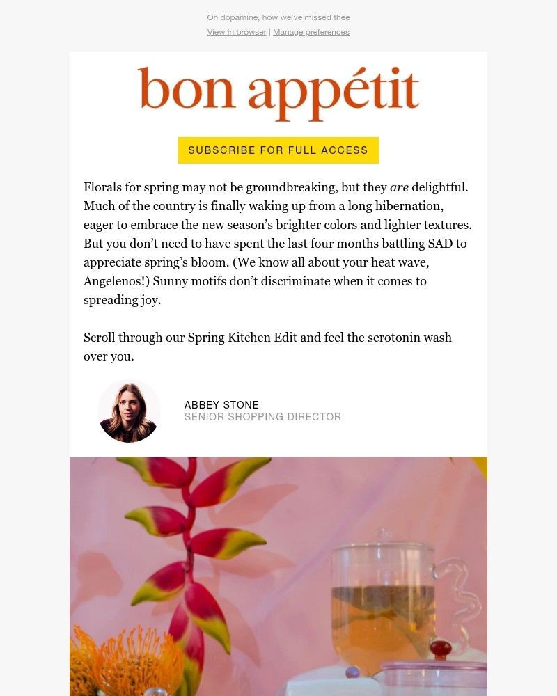 Screenshot of email with subject /media/emails/tableware-and-decor-for-an-instant-mood-boost-d045bf-cropped-fa94247f.jpg