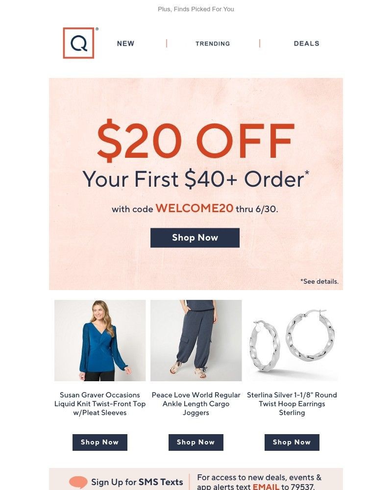 Screenshot of email with subject /media/emails/take-20-off-your-first-purchase-2c7cf6-cropped-15588f86.jpg