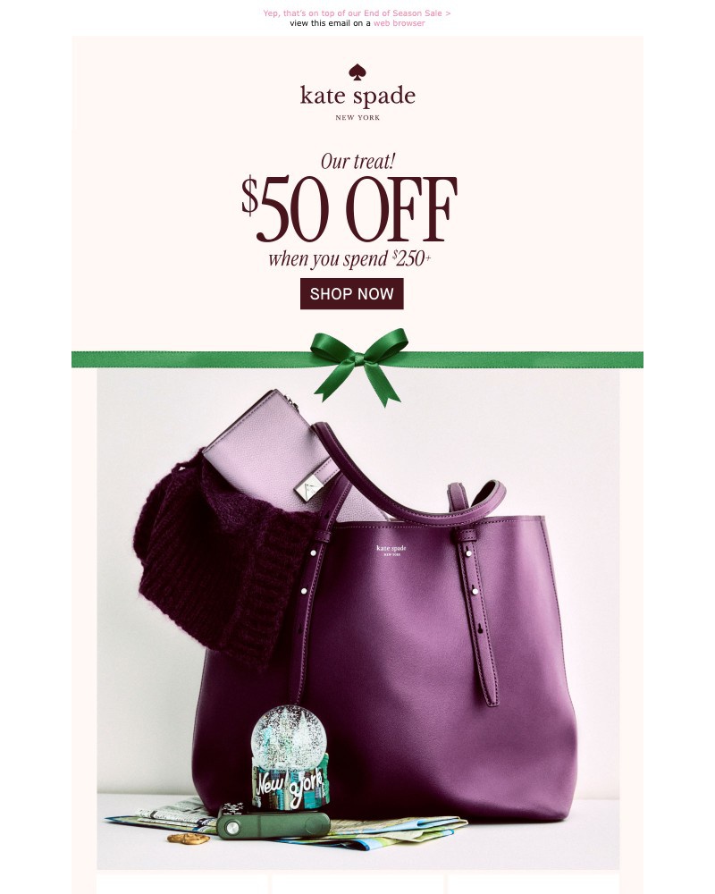 Screenshot of email with subject /media/emails/take-50-off-your-250-purchase-485766-cropped-95018afb.jpg