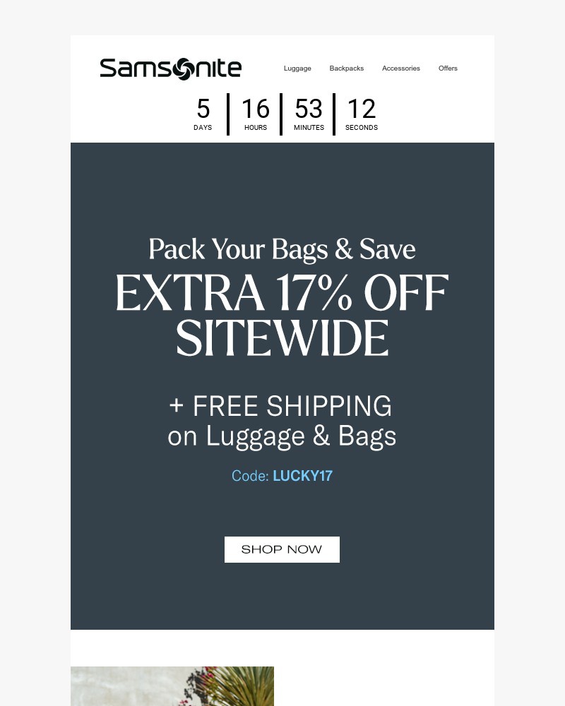 Screenshot of email sent to a Samsonite Newsletter subscriber