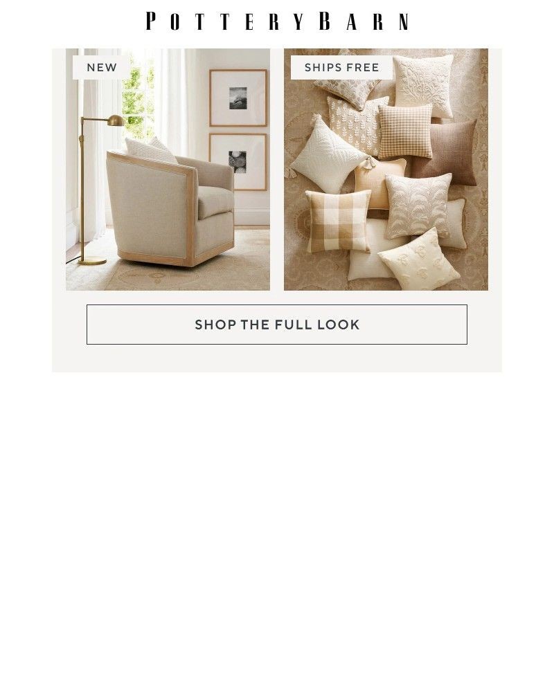 Screenshot of email with subject /media/emails/take-an-extra-20-off-select-styles-reimagine-your-living-room-41fb03-cropped-9af78d3c.jpg