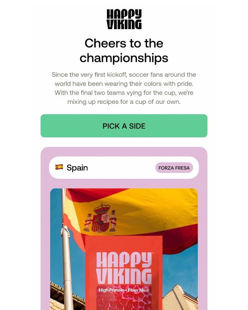 Screenshot of email sent to a Happy Viking Newsletter subscriber