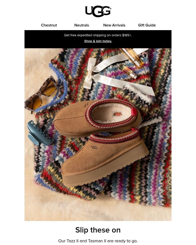 Screenshot of email with subject /media/emails/tazz-tasman-2459b3-cropped-0a860b54.jpg