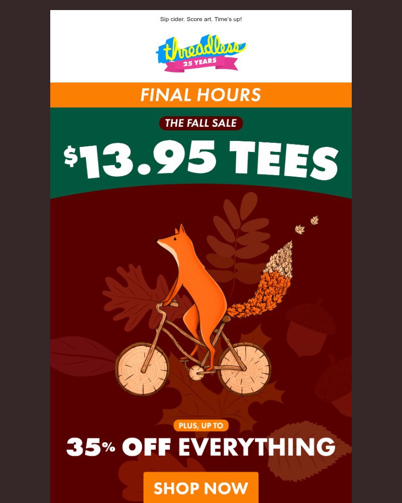 Screenshot of email with subject /media/emails/tee-mergency-final-hours-8e4133-cropped-6eb777a7.jpg