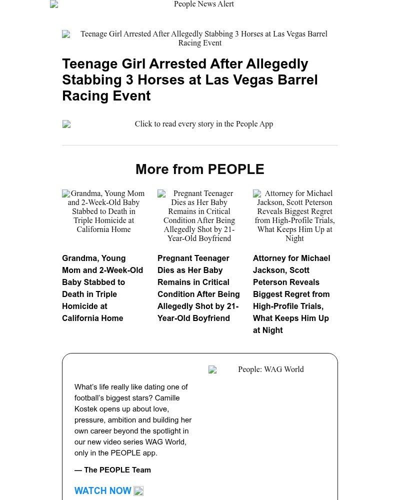 Screenshot of email with subject /media/emails/teenage-girl-arrested-after-allegedly-stabbing-3-horses-at-las-vegas-barrel-racin_ZSpAHzx.jpg
