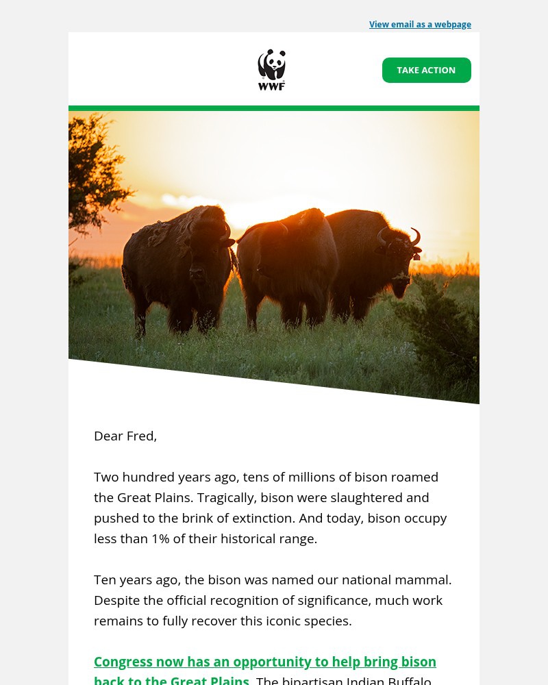 Screenshot of email sent to a World Wildlife Fund Newsletter subscriber