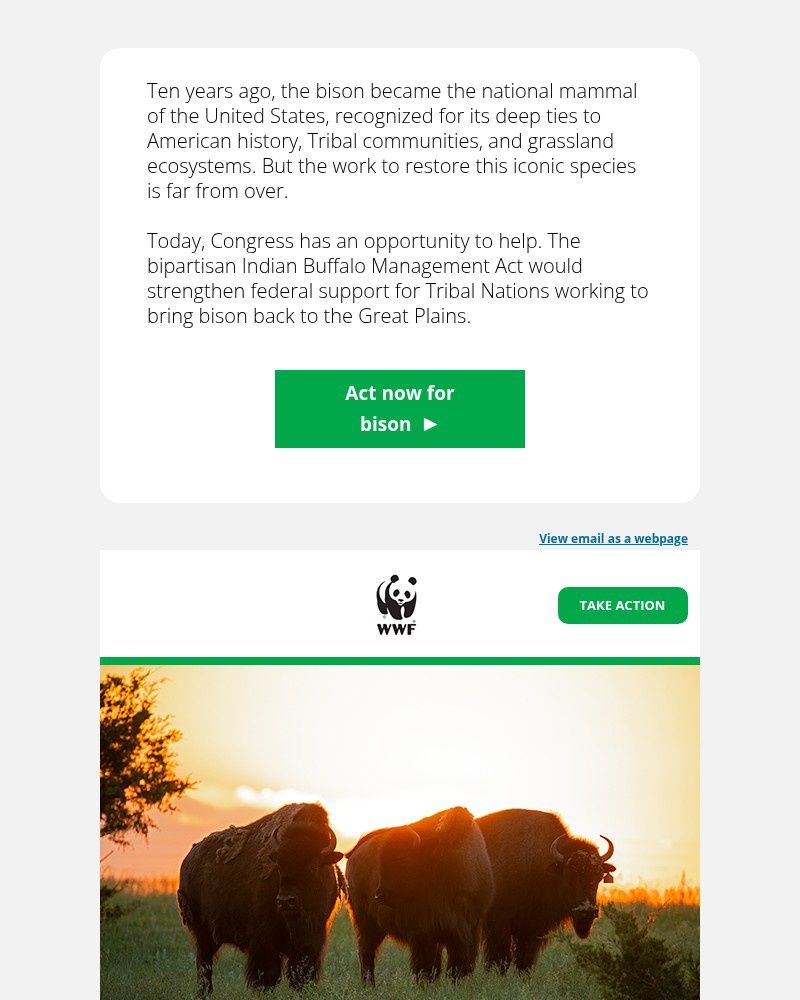 Screenshot of email sent to a World Wildlife Fund Newsletter subscriber