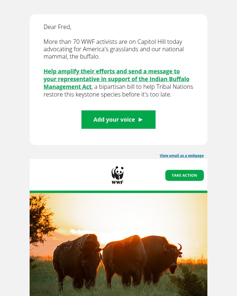 Screenshot of email with subject /media/emails/tell-congress-to-help-restore-our-national-mammal-c3d8dd-cropped-49d8cda2.jpg